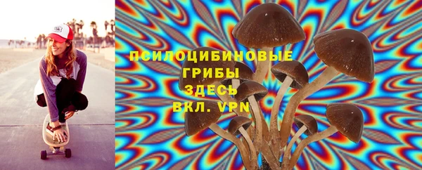 ALPHA-PVP Ельня