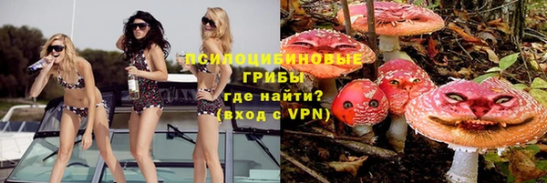 альфа пвп Заводоуковск