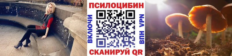 Галлюциногенные грибы мицелий  Ефремов 