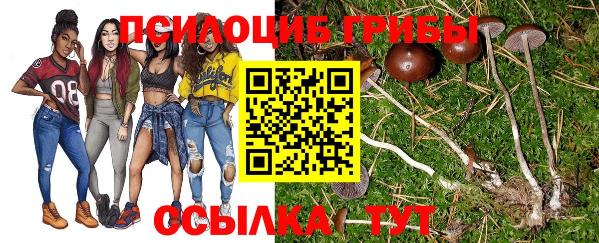 Псилоцибиновые грибы MAGIC MUSHROOMS Ефремов